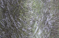 Ridge fibreglass roof work